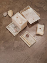 FermLiving - Mist Box