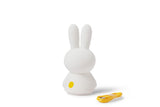 Mr. Maria Nachtlicht Miffy Shines